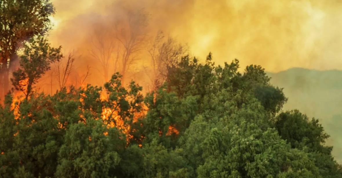 Požáry ničí Kalifornii. Úřady potvrdily první oběť