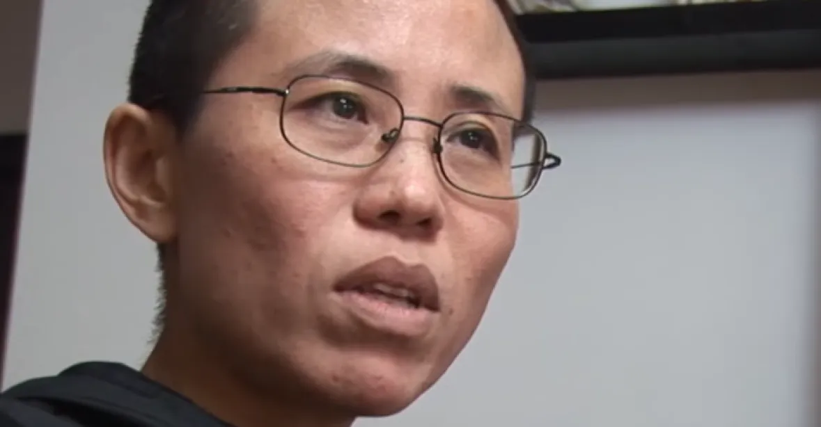 „Žiju jako rostlina, ležím jako mrtvola,“ píše střežená vdova po čínském disidentovi