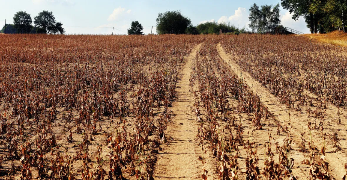Sucho napáchalo škody až za 11 miliard, chceme kompenzace, říkají zemědělci