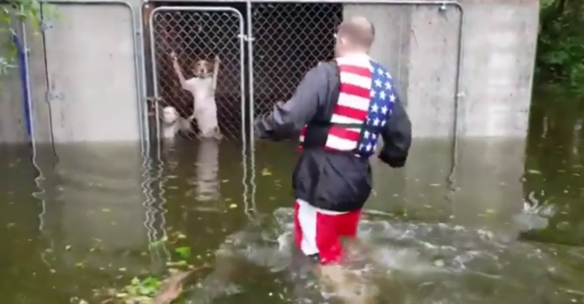 VIDEO: Za pět minut dvanáct. Američan zachránil šest psů ze zaplavující se klece