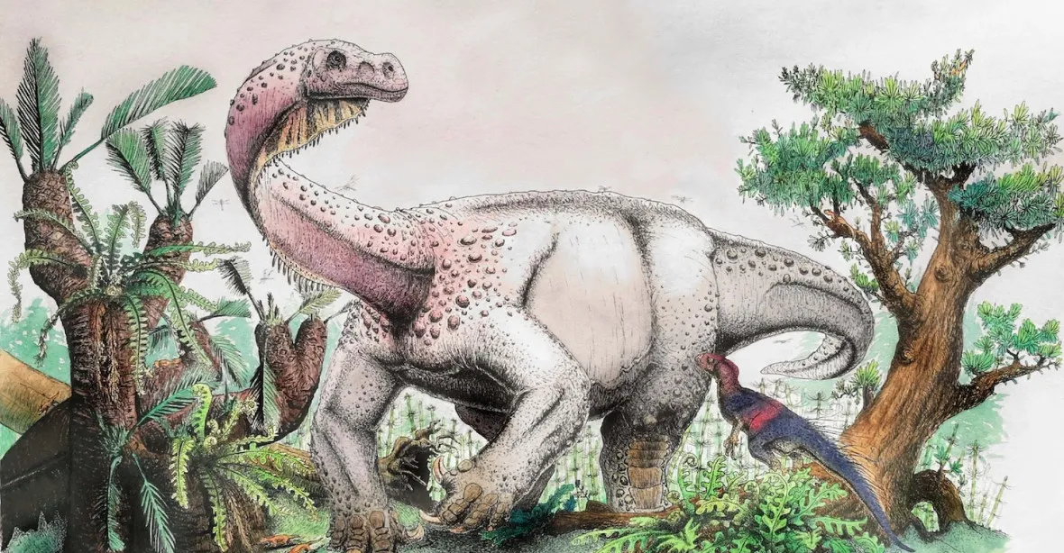 Největší tvor jurské doby? V Africe nalezli obrovského dinosaura