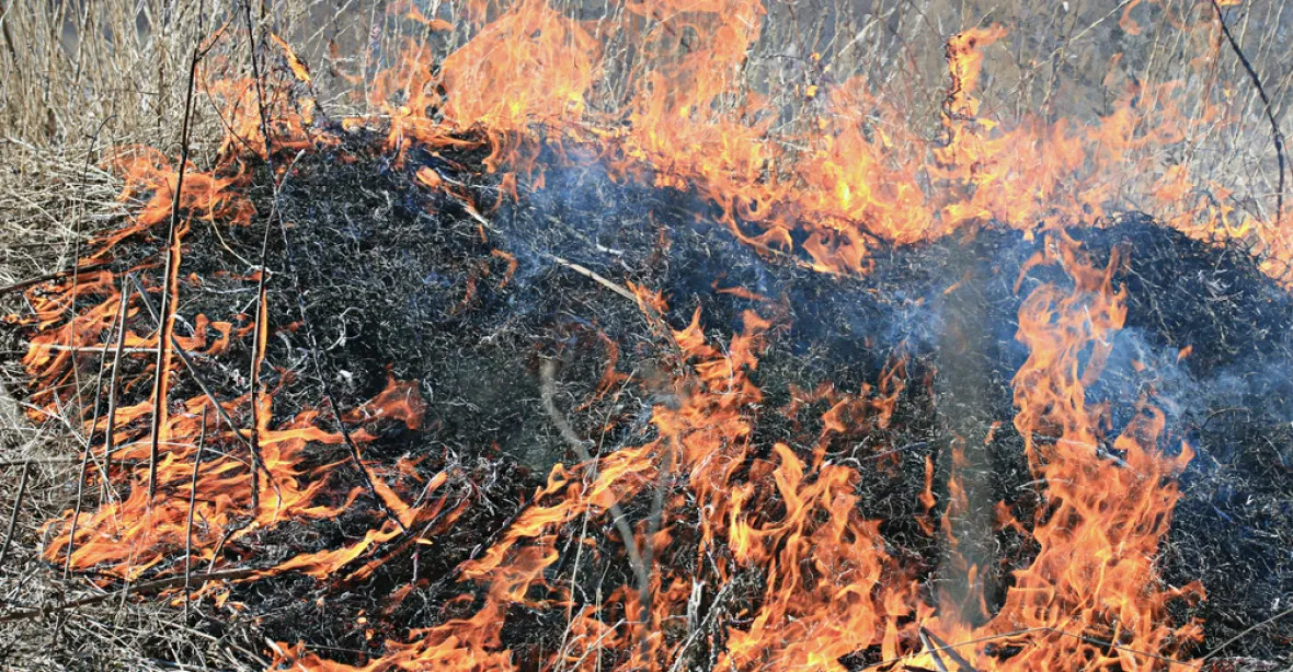 Rozsáhlý požár louky u Labské boudy pomohli lokalizovat i hasiči z Polska