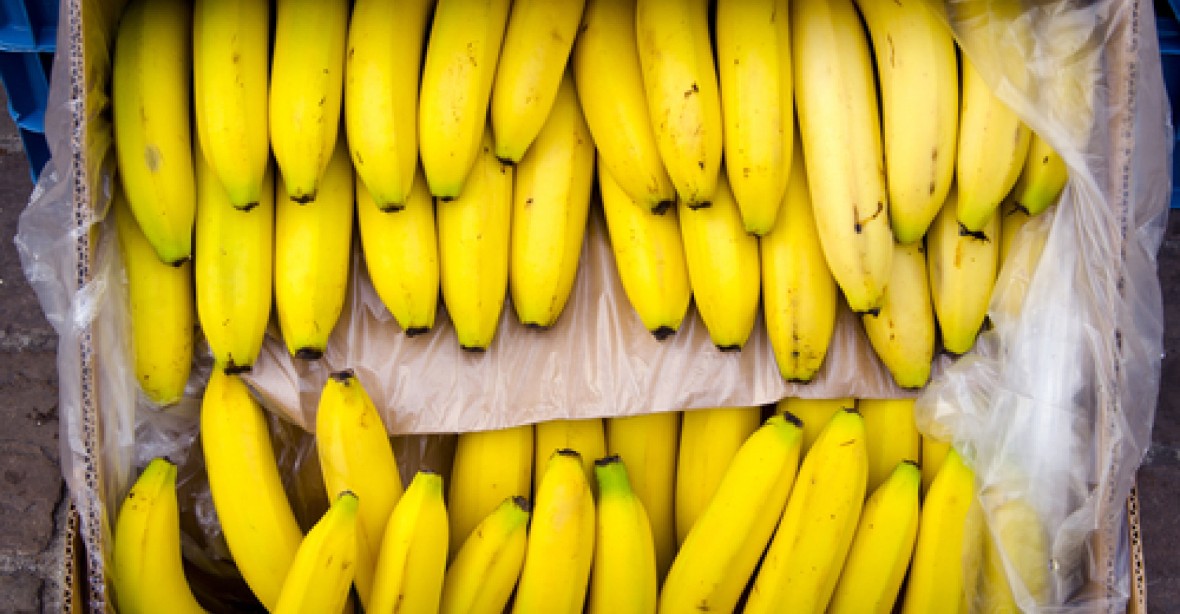Polská policie našla 220 kilogramů kokainu ukrytého mezi banány