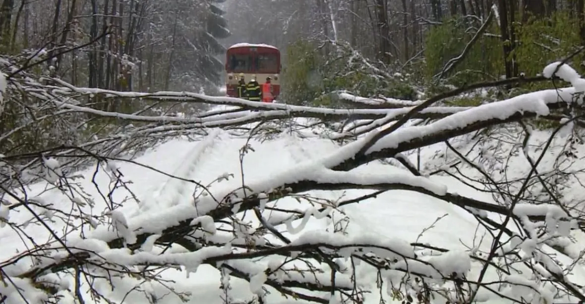 Popadané stromy na tratích, zákaz vjezdu do hor. Sněžení a vítr komplikují dopravu