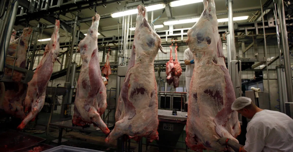 Zkažené polské maso se dostalo i do Francie a Portugalska
