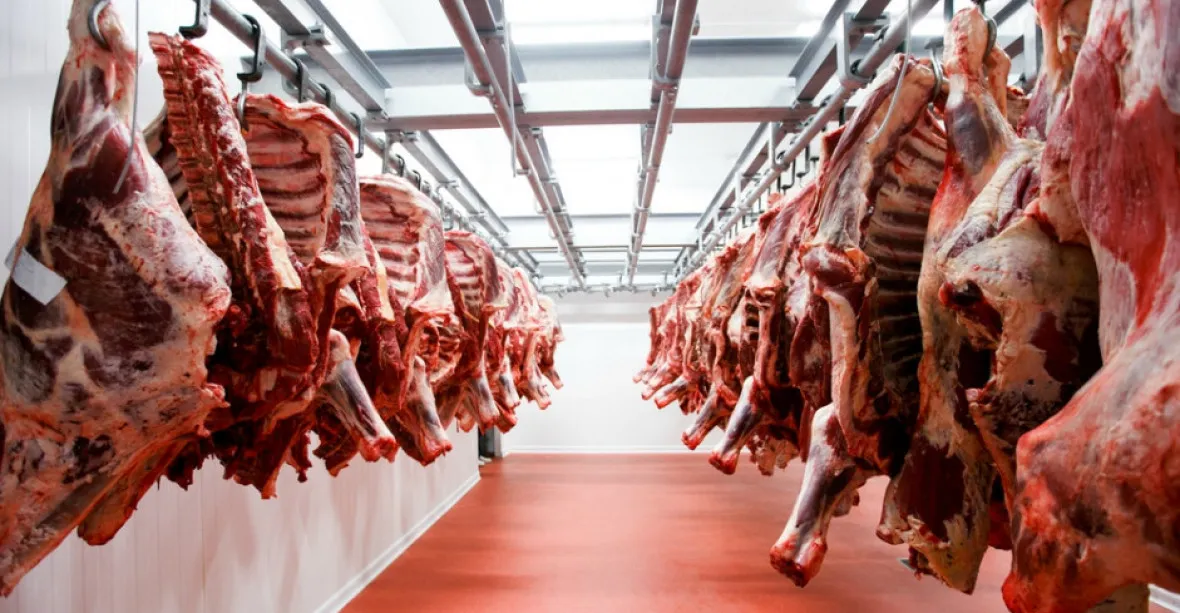 Polský ministr zemědělství odvolal úředníka odpovědného za bezpečnost masa