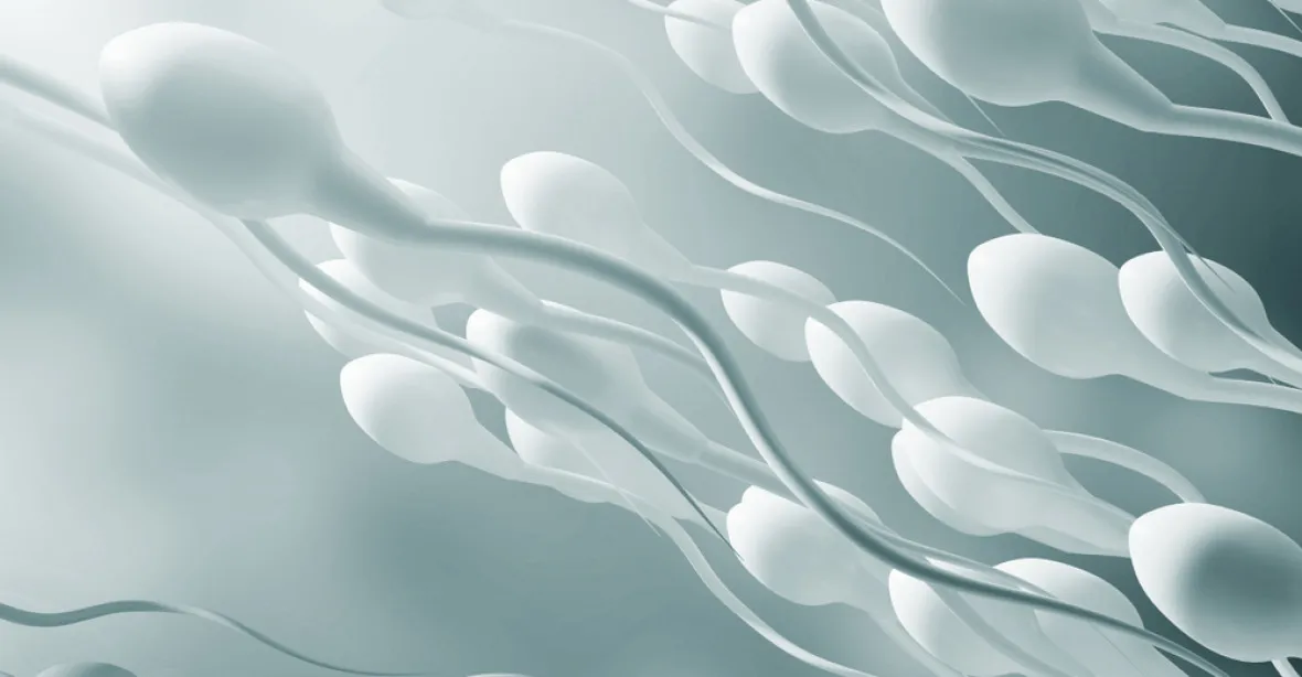 Kvalita spermií poklesla za 80 let o 50 %, na vině jsou i chemikálie doma, tvrdí vědci. Trpí muži i psi