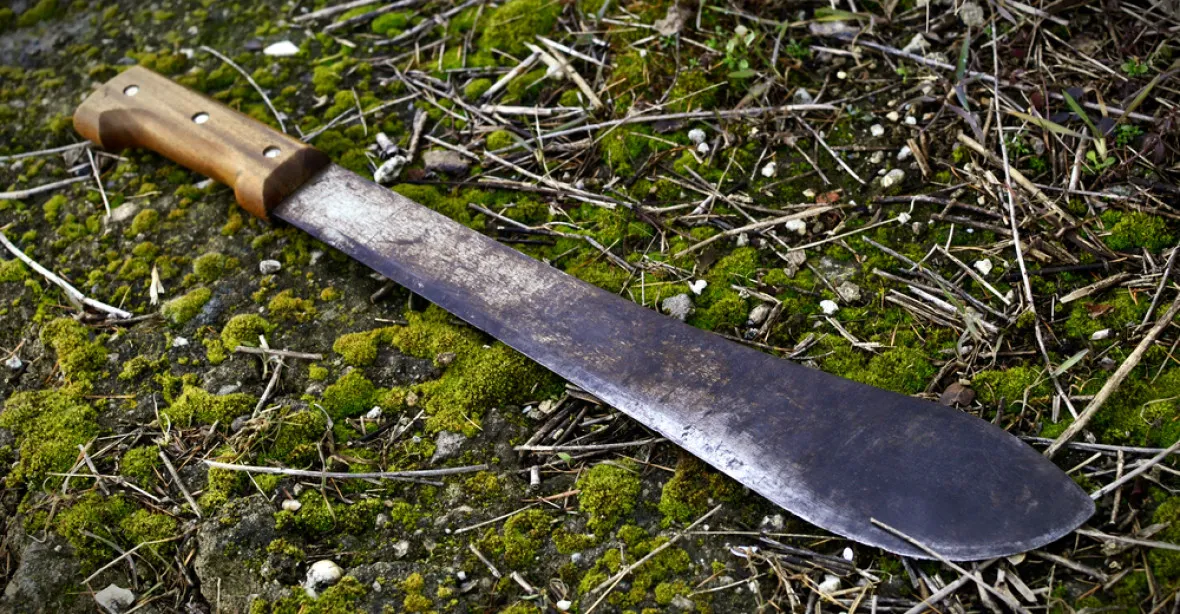 Mladík v Plzni zavraždil mačetou kamaráda. Šlo o první projev schizofrenie