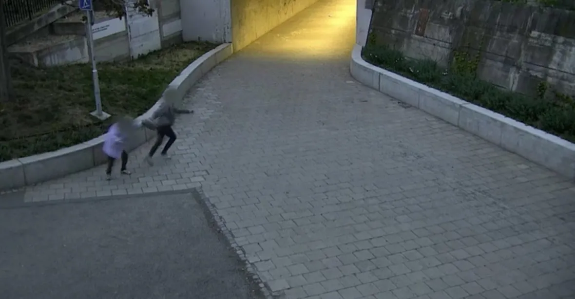 VIDEO: Mladík v Brně zaútočil na stařenku. Vytrhl jí tašku, až upadla na zem