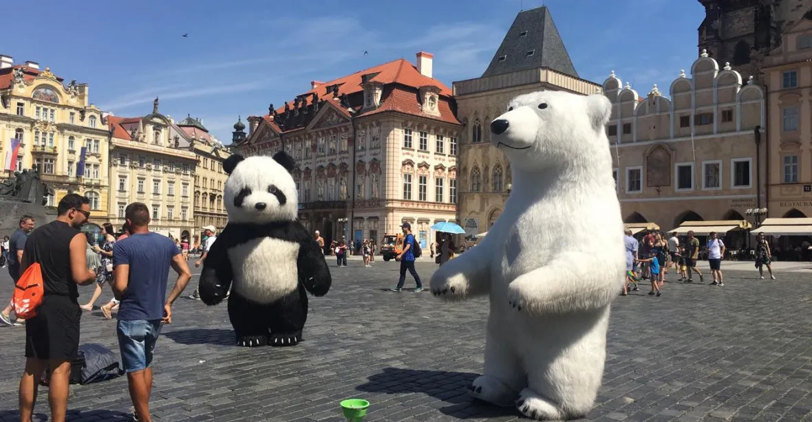Obří pandy v historickém centru – radost pro děti, nebo krajní nevkus?