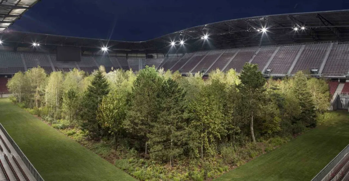Místo trávníku je uprostřed stadionu vzrostlý les. Umělec chce vyburcovat veřejnost