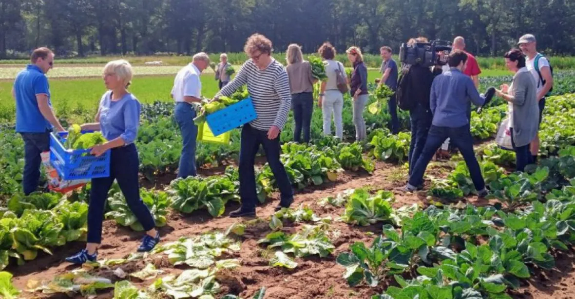 V Nizozemsku vznikají farmy nového typu. Mají čelit změnám klimatu