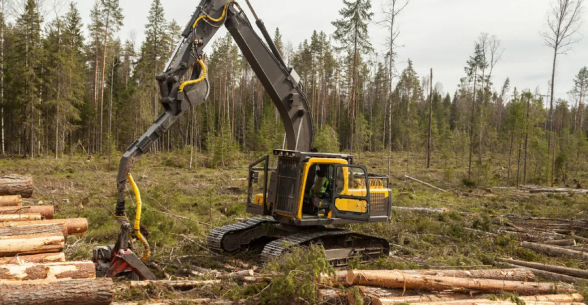 Lesy ČR se z miliardových zisků propadly do obří ztráty