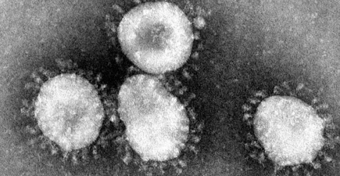 USA hlásí první případ viru, který řádí v Číně. České úřady radí turistům, aby byli opatrní