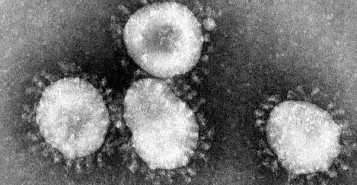 Nový koronavirus má už přes 800 obětí, překonal epidemii SARS