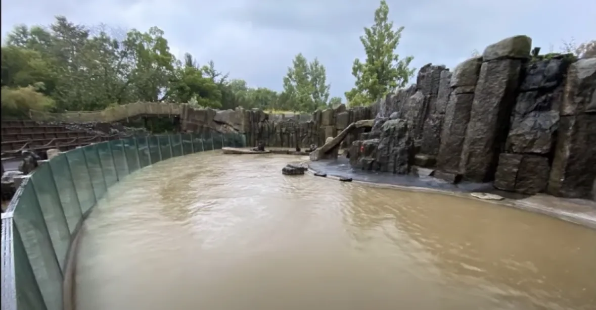 VIDEO: Voda se prohnala zoo v Praze. Návštěvníci neuvidí lachtany