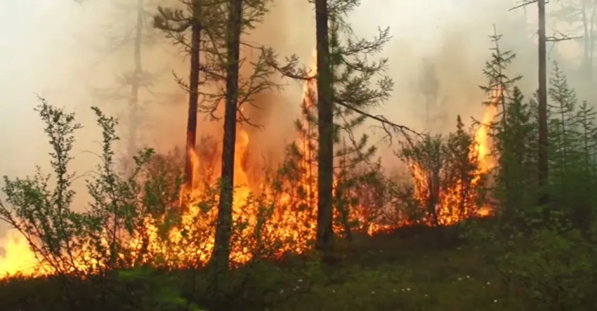 Na Sibiři hoří více než milion hektarů lesů, úřady s tím nic nedělají