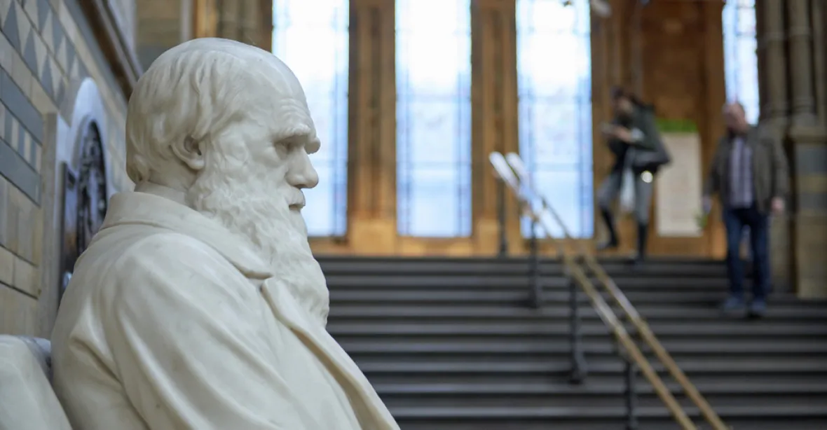 Charles Darwin „kolonialista“. Z londýnského muzea mohou zmizet i jeho exponáty