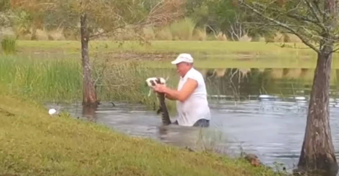 VIDEO: Důchodce skočil do vody a vytrhl štěně z čelistí aligátora