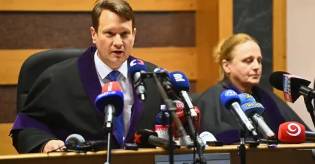 Der überzeugende Richter Šott machte auf Subventionsperversion aufmerksam