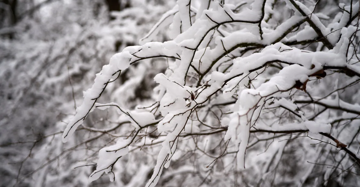 Sníh v noci a ve středu zasype Česko. Meteorologové očekávají kalamitu