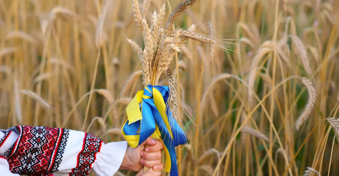 Východní Evropa zakazuje dovoz ukrajinského obilí, Česko čeká na EU
