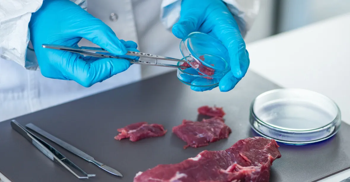 Jídlo pěstované v laboratoři je nebezpečné, tvrdí italský ministr