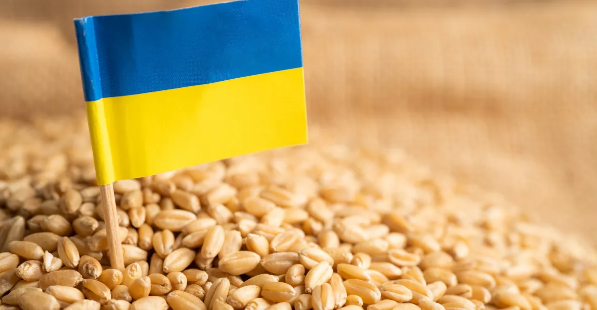 Obilí z Ukrajiny bude dál proudit do EU. Europarlament prodloužil bezcelní dovoz