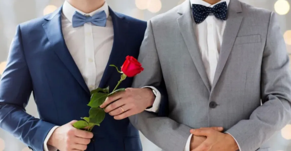 Stejnopohlavní partneři jsou nejlepší, ale manželství to není