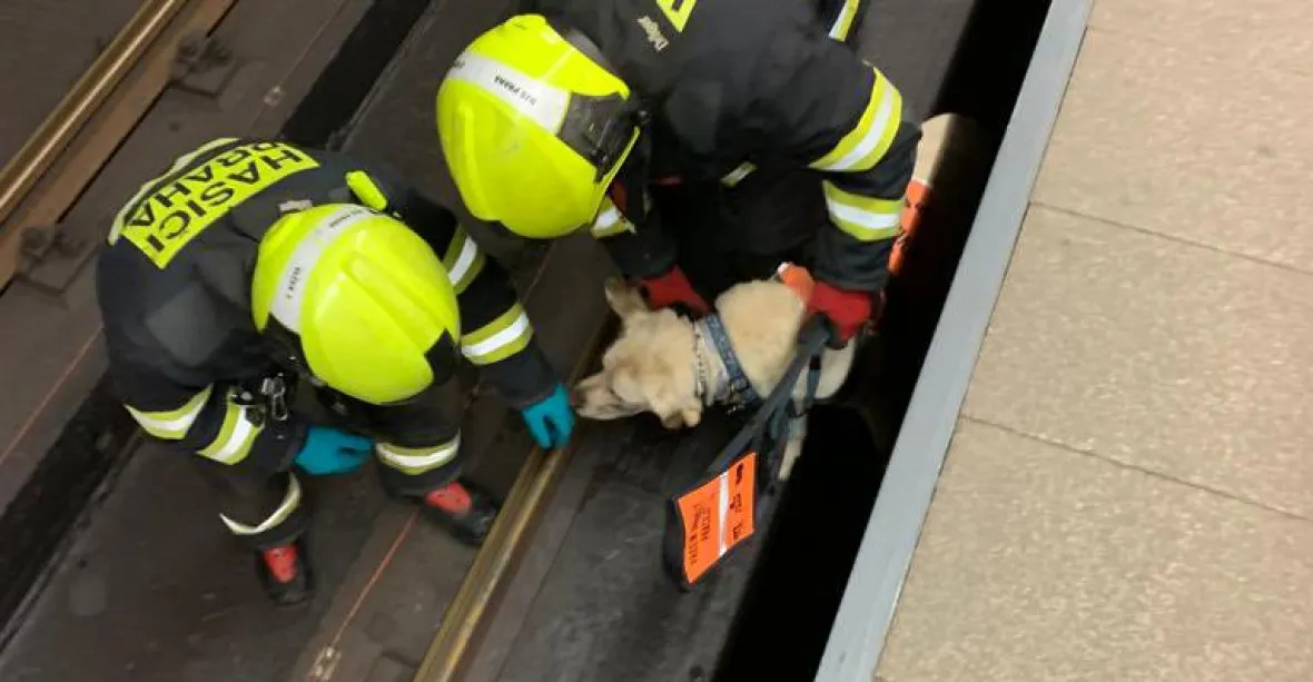 Nevidomá žena spadla i se psem do kolejiště. Provoz metra na části linky B se zastavil