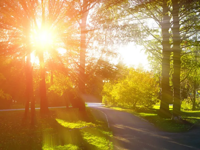 Teploty atakují 30°, neděle je nejteplejším dnem letoška. V Čechách se už tvoří bouřky
